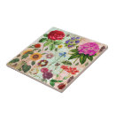 Suche nach botanische illustration fliesen Pflanze