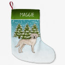 Recherche de labradors chaussette de noël Labrador retriever