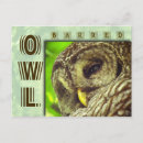 Recherche de hiboux cartes postales Rayé