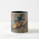 Suche nach kingfisher tassen Tierwelt