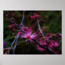 Suche nach düster poster Blume