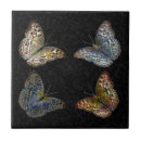 Recherche de dessin papillon carreaux Papillons