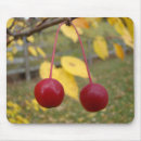 Recherche de pomme rouge tapis souris Nature