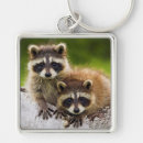 Suche nach festlichkeit accessoires Tiere