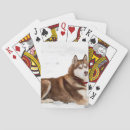 Recherche de yeux bleus jeux de cartes Chien
