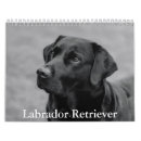 Suche nach labrador kalender Kaninchen