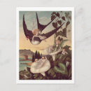 Suche nach sie christian postkarten Bird