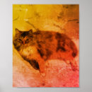 Recherche de calico cat posters Chats de calico