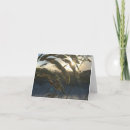 Recherche de de plage correspondances cartes Nature