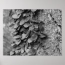 Suche nach rebs poster Mother