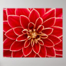 Suche nach dahlien poster Daughter