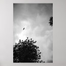 Suche nach bird silhouette poster Silhouettes