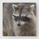 Suche nach waschbär wanduhren Neugierig