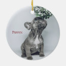 Suche nach french bulldog ornamente Verzierung