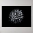 Recherche de beauté unique posters Fleur