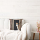 Suche nach graue katzen kissen Haustier