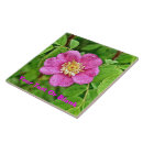Suche nach wilde rose Flora