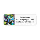 Suche nach budgerigars Papageien