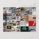 Recherche de vélos cartes postales Équitation