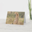 Suche nach natural Leopard
