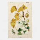 Suche nach ginkgo geschirr tücher Botanisch