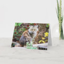 Suche nach wilde katze karten Fotografie