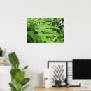 Suche nach tau poster Foto