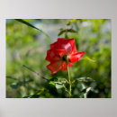Suche nach blur poster Background