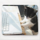 Suche nach katzen humor mousepads Kätzchen