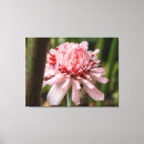 Suche nach exotisch leinwandbilder Rosa