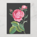 Suche nach moderne blumen postkarten Floral