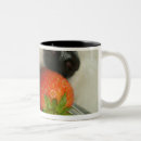 Recherche de mangeant tasses Plan rapproché