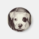 Recherche de coquelicots magnets Animal