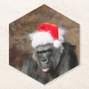 Suche nach gorilla untersetzer Fotografie