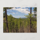 Recherche de black hills cartes postales Voyage