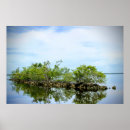 Recherche de cyprès posters Paysages
