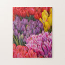 Recherche de tulipes de ressort Jardin