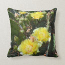 Suche nach stachelig kissen Arizona