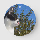 Recherche de chat noir et blanc horloges Félin