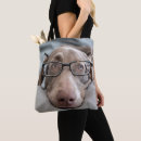 Recherche de futé sacs Animal familier