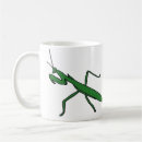 Recherche de mante tasses Entomologie