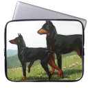 Suche nach dobermann hüllen Tier