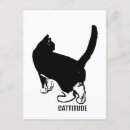 Recherche de attitude cartes postales Chaton