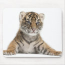 Recherche de petit tapis souris Tigre