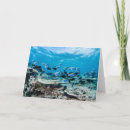 Recherche de maldives vœux cartes Océan indien