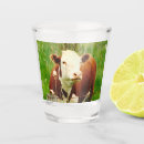 Recherche de lait de bar Pour elle