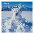 Suche nach schneeball poster Schneemann