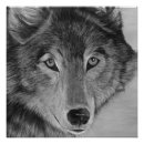 Recherche de loups blancs posters Portrait de loup
