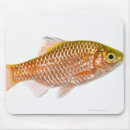 Suche nach floss mousepads Fische