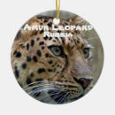Suche nach gefährdet Leopard